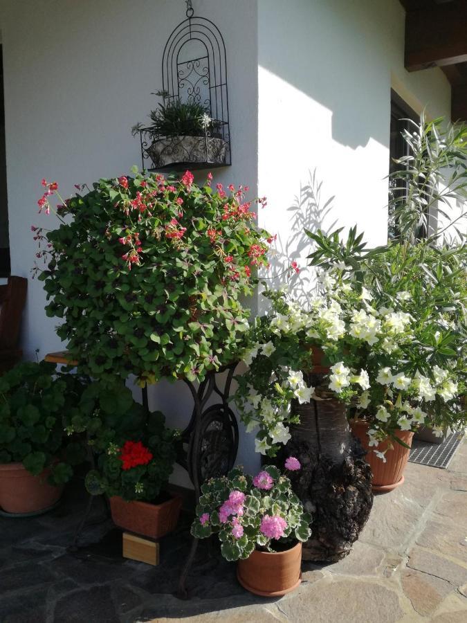 Haus Johanna เวสเทนดอร์ฟ ภายนอก รูปภาพ